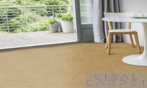 Are Sisal Carpets the Best Choice for Your Home Décor